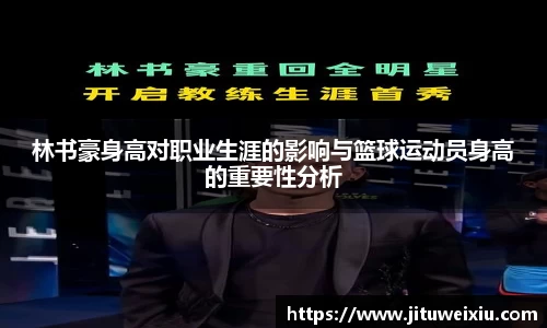 6686体育官网入口
